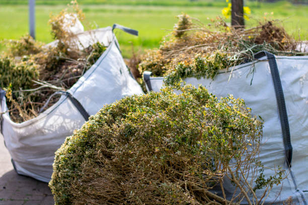 Best Yard Waste Removal  in Baraboo, WI